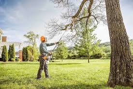 Best Emergency Tree Removal  in Lopezville, TX
