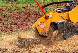 Best Mulching Services  in Lopezville, TX